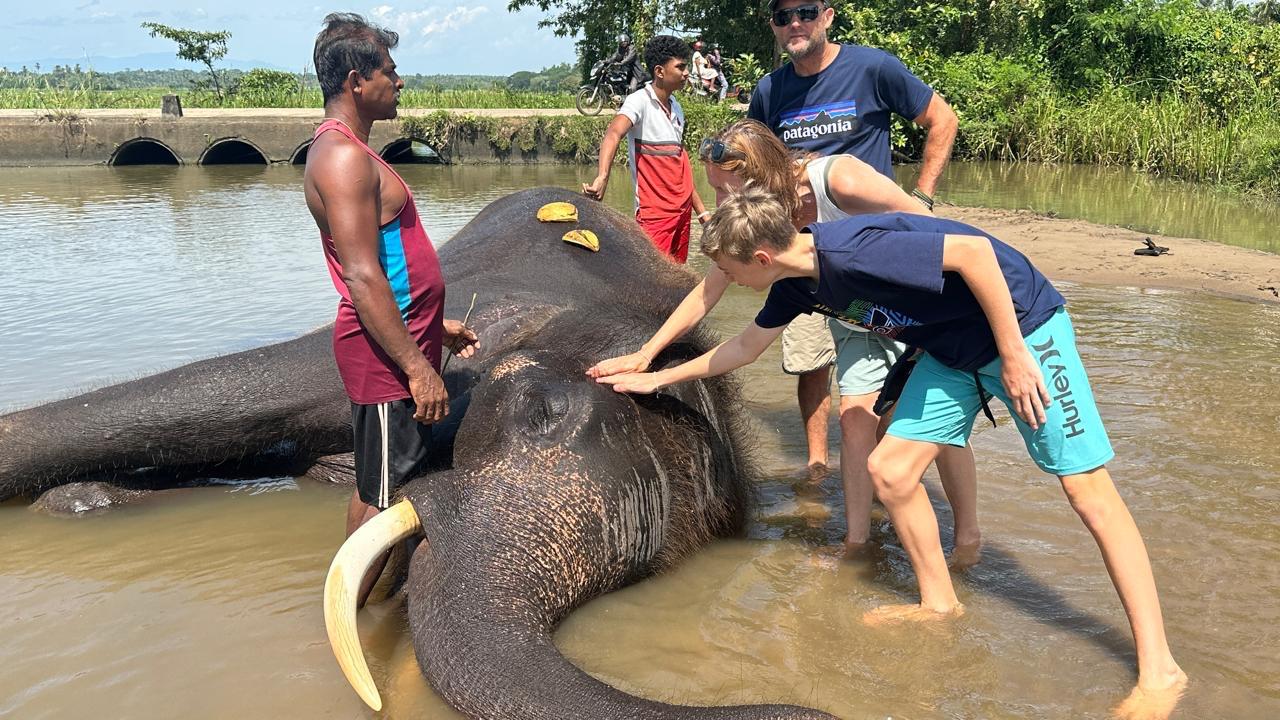 Sri Lanka Mountain
